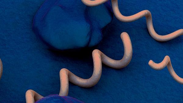 疾病控制中心报告先天性梅毒惊人上升